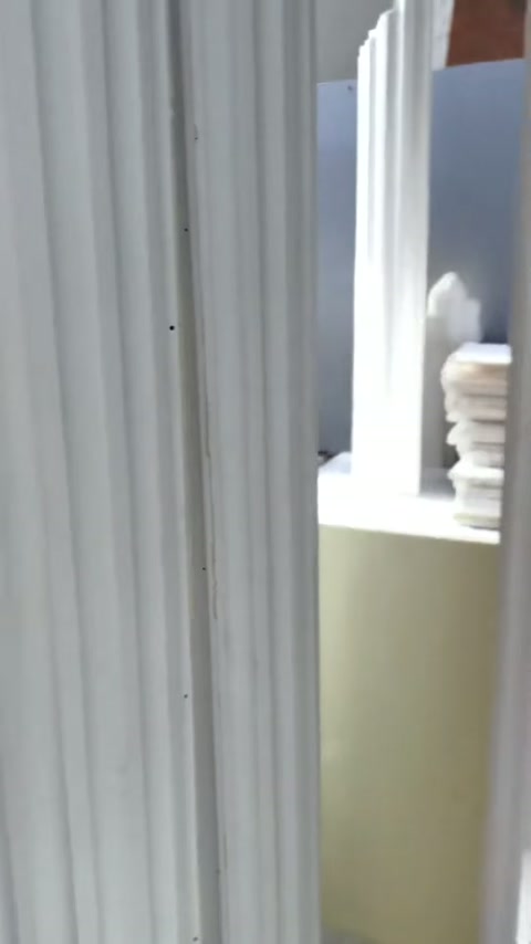 Dikey yivlere sahip beyaz sütun gövdesi yakından görüntüleniyor.