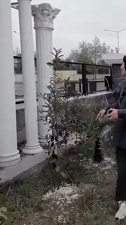 Poliüretan Sütun Modelleri: Başlık, Kaide, Yivli, Burgulu ve Düz Sütunlar