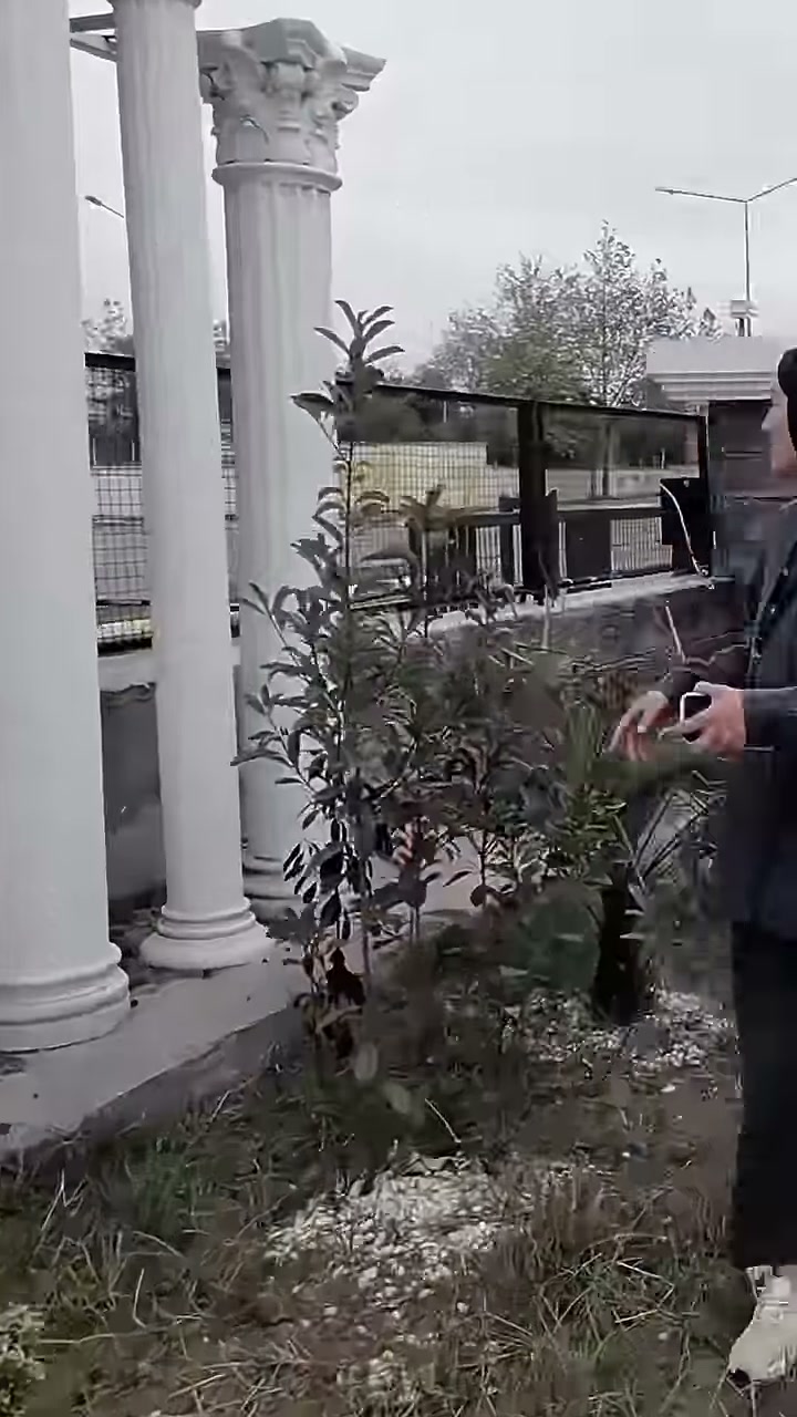 Poliüretan Sütun Modelleri: Başlık, Kaide, Yivli, Burgulu ve Düz Sütunlar