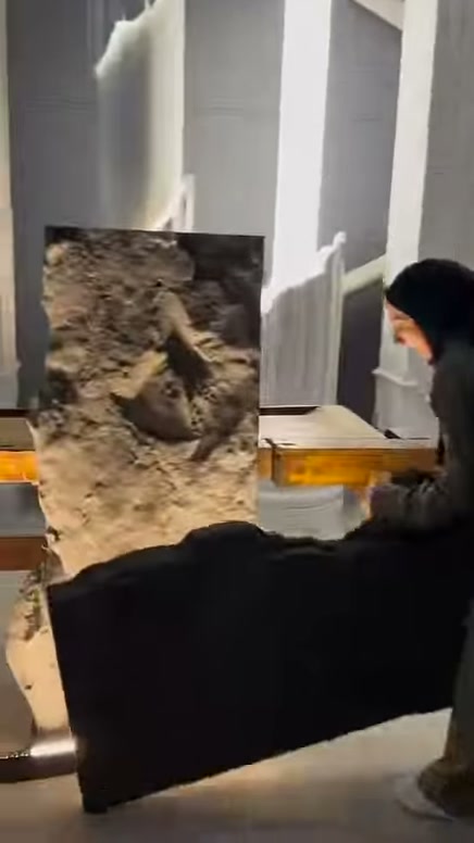 Koyu panel parçası, uzun kaya kaplamasının önünde yatay tutuluyor