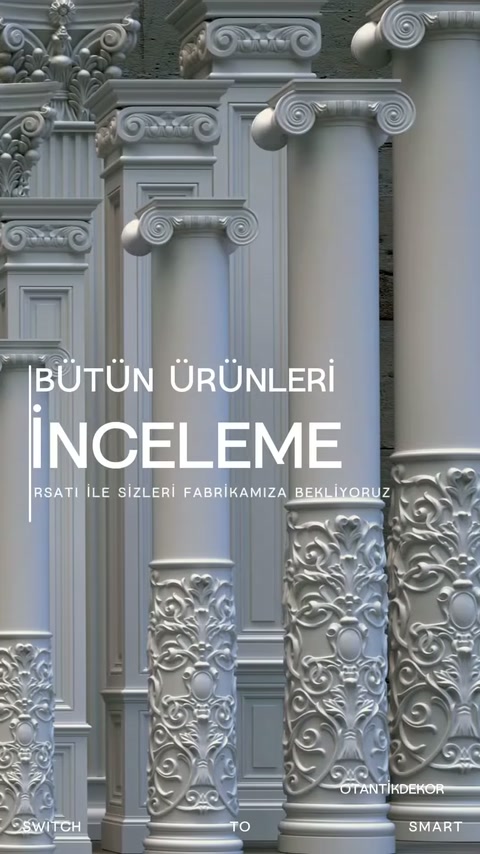 İyonik başlıklı ve kabartma desenli sütun modelleri yakından sergileniyor.